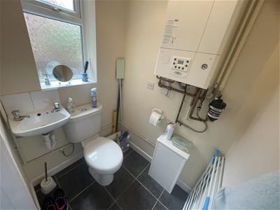 Picture 5